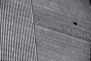 World Trade Center - Fensterputzer